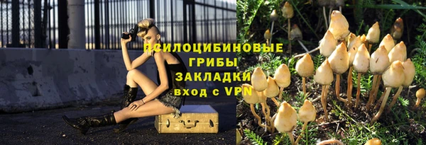 герыч Арсеньев