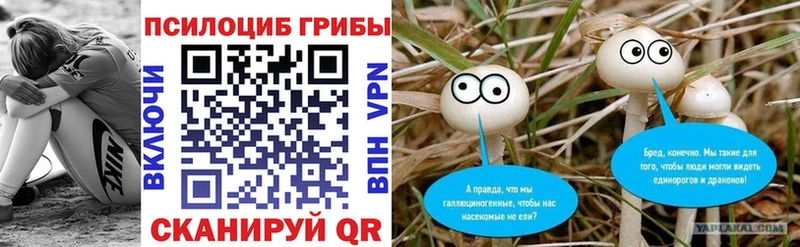 Псилоцибиновые грибы GOLDEN TEACHER  Купить закладки  Михайловка 